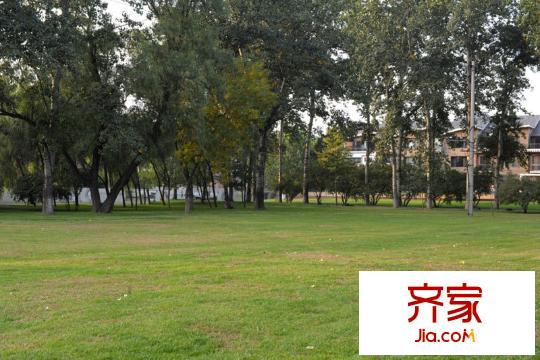 亚运新新家园园林绿地20111019
