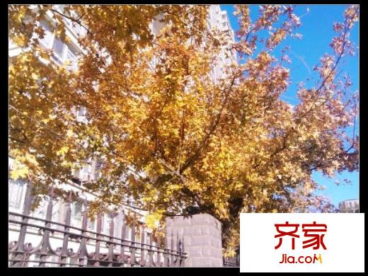 天和人家外景图