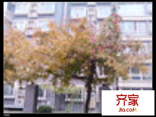 天和人家外景图