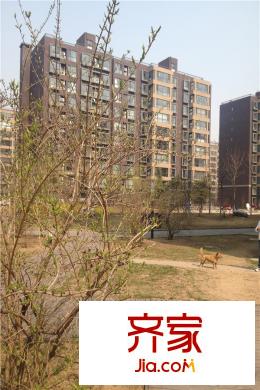 紫金新干線園林2015.03