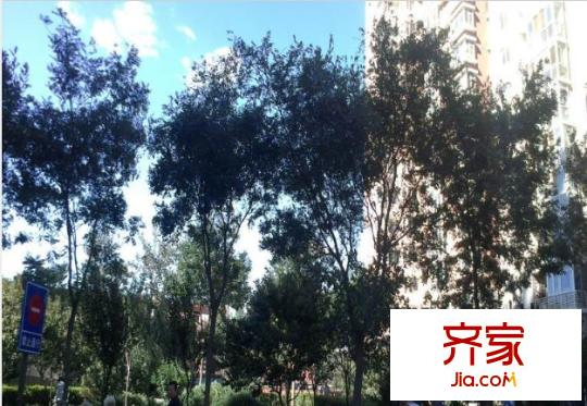 万年花城回迁房外景图