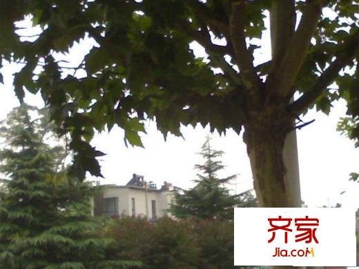 理想的拿铁镇外景图楼座图