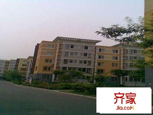 龍躍苑東五區(qū)外景圖遠景圖