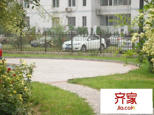 阳光四季外景图绿化图
