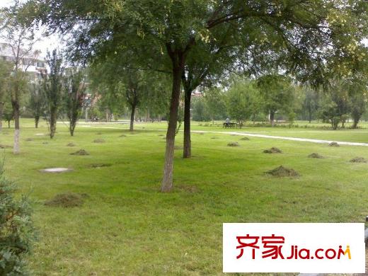 莱茵河畔配套图周边公园