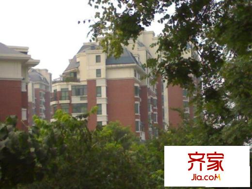 莱茵河畔外景图楼座图