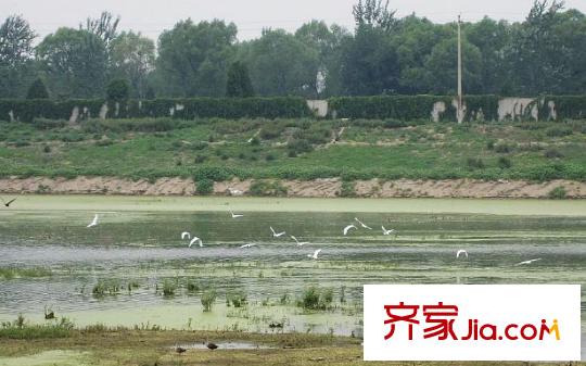 东亚首航国际周边-公园