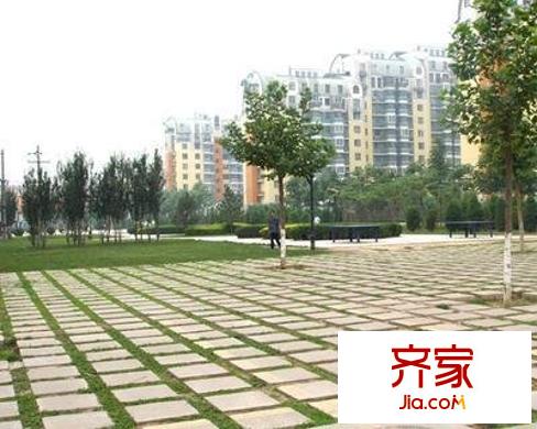 草桥欣园四区外景图小区花园图