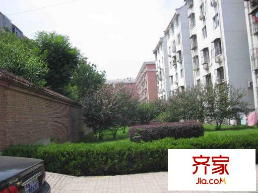 苏庄小区外景图小区绿化