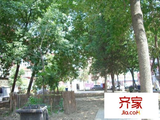 洋桥西里外景图花园