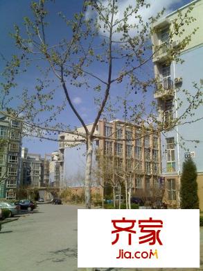 伟业嘉园外景图