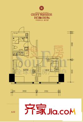 国融国际户型图A12户型 1室2厅1卫1厨