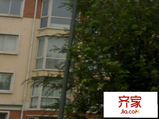 九龙家园外景图近景图