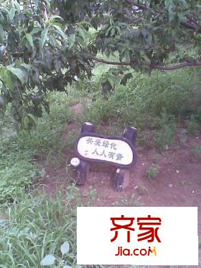 富强东里外景图