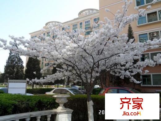 中海雅园外景图