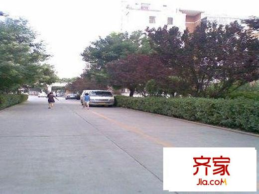 腾龙家园外景图道路图