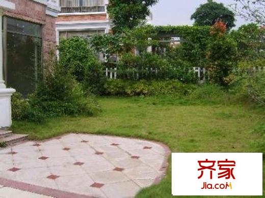 腾龙家园外景图绿化