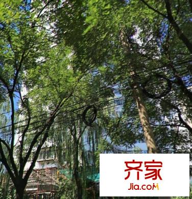 双榆树知春里小区外景图