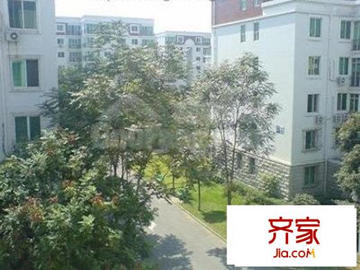 溫泉花園外景圖綠化