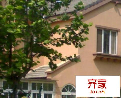 亲爱的villa外景图