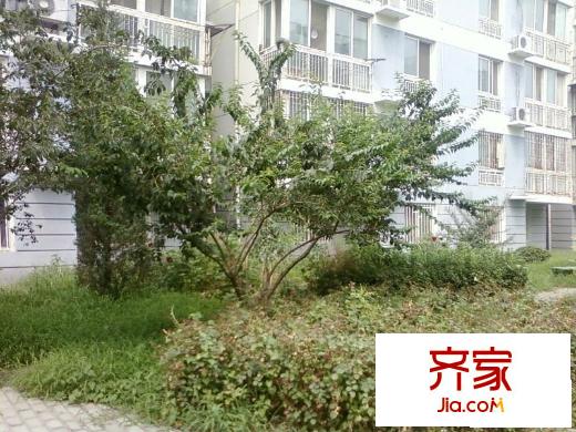 建材城东一里外景图楼座图