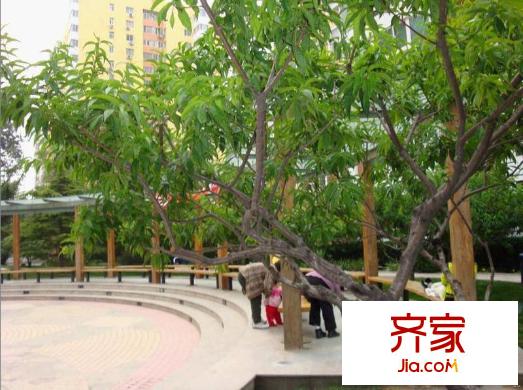 建设部大院外景图