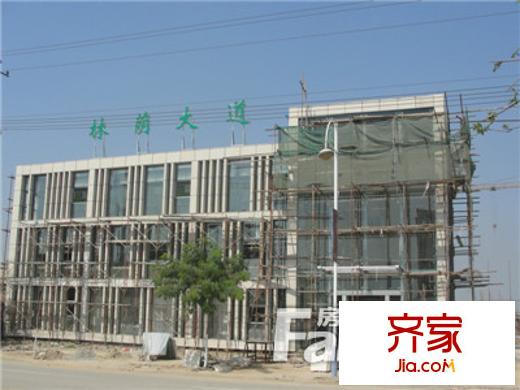 林蔭大道外景圖