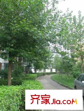 名佳花園三區(qū)配套圖花園小徑