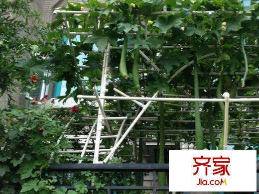 星岛假日外景图