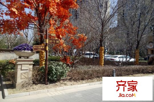 合生滨江帝景售楼处2015.3.21