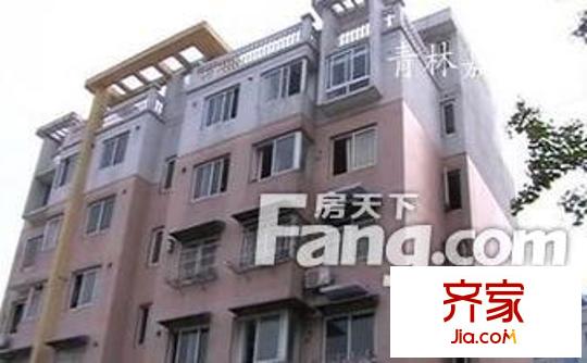 青林嘉園外景圖2