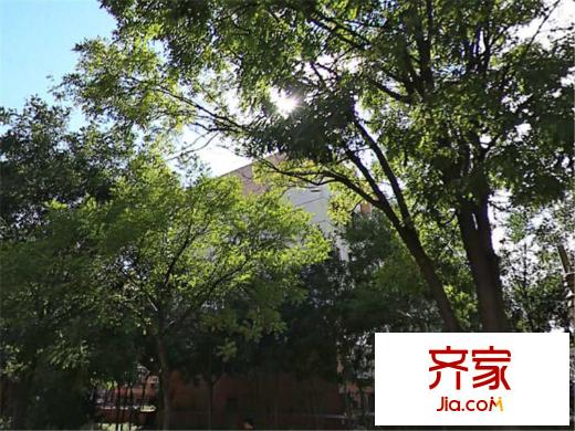 張興樓外景圖 