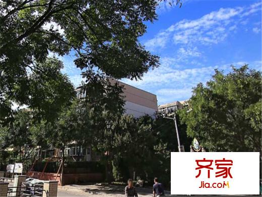 張興樓外景圖 