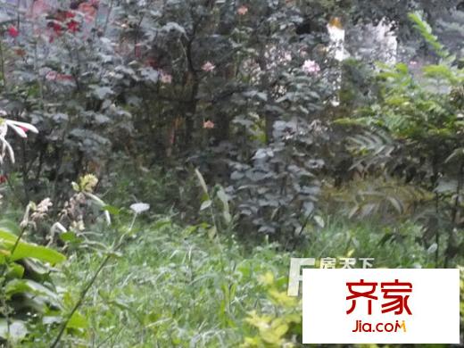 天之潤花園外景圖