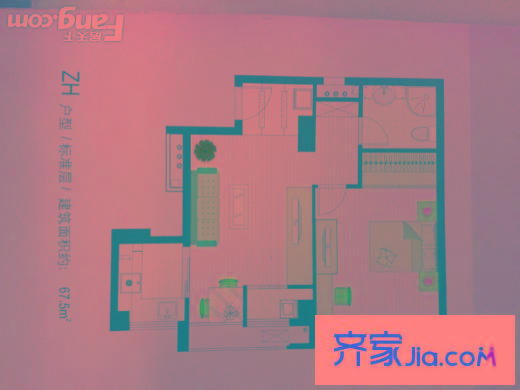 常青藤單身公寓 1室1廳戶型圖