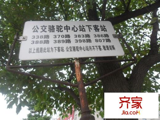 金邑華庭外景圖