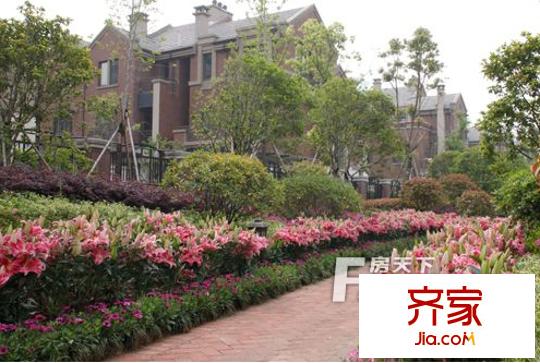 麗景英郡外景圖 