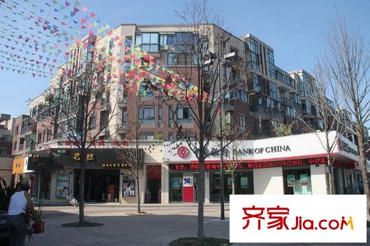 保億風(fēng)景九園配套圖小區(qū)北部商業(yè)街