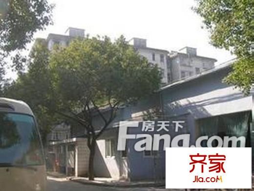 翠柏東巷外景圖3