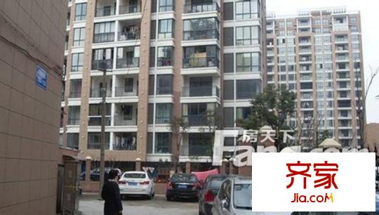 翠柏東巷外景圖7