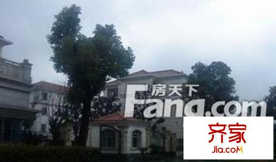 世紀虹外景圖4