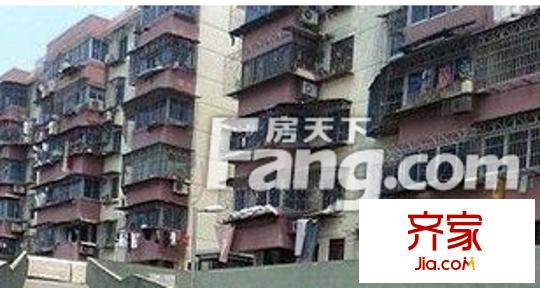 白云牡丹外景圖10