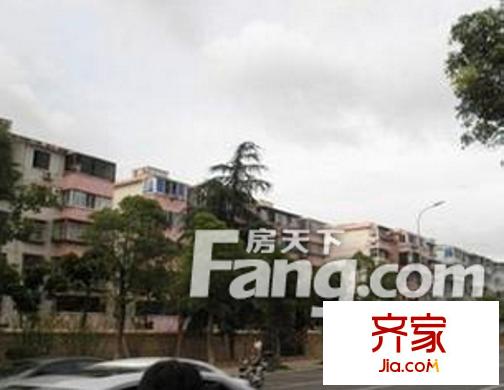 白云牡丹外景圖8