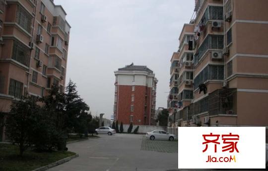 南都綠洲