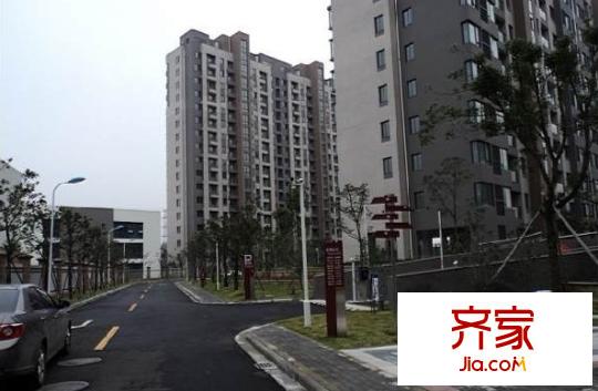 金家漕小區(qū)外景圖 