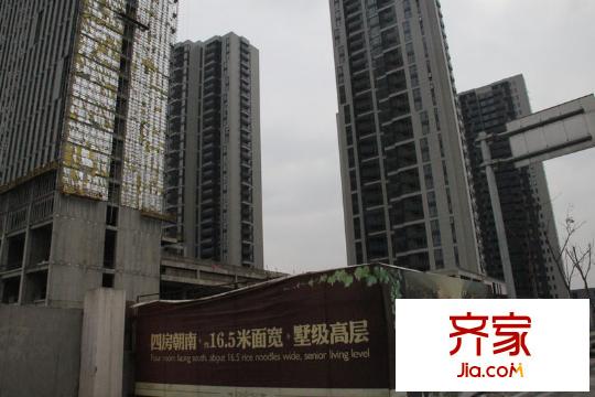 四季云頂最新實景（2012.02.07）