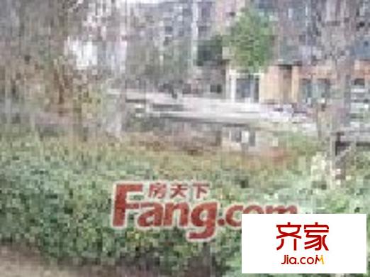 紫郡小區(qū)外景圖 