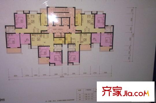 殷家花園 3室2廳1衛(wèi)1廚 戶型圖
