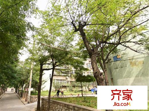 金星樓外景圖 