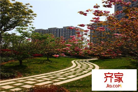 雅戈?duì)栭L島花園（2015.3.22）